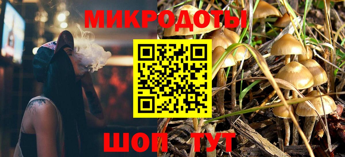 Псилоцибиновые грибы мицелий Советский