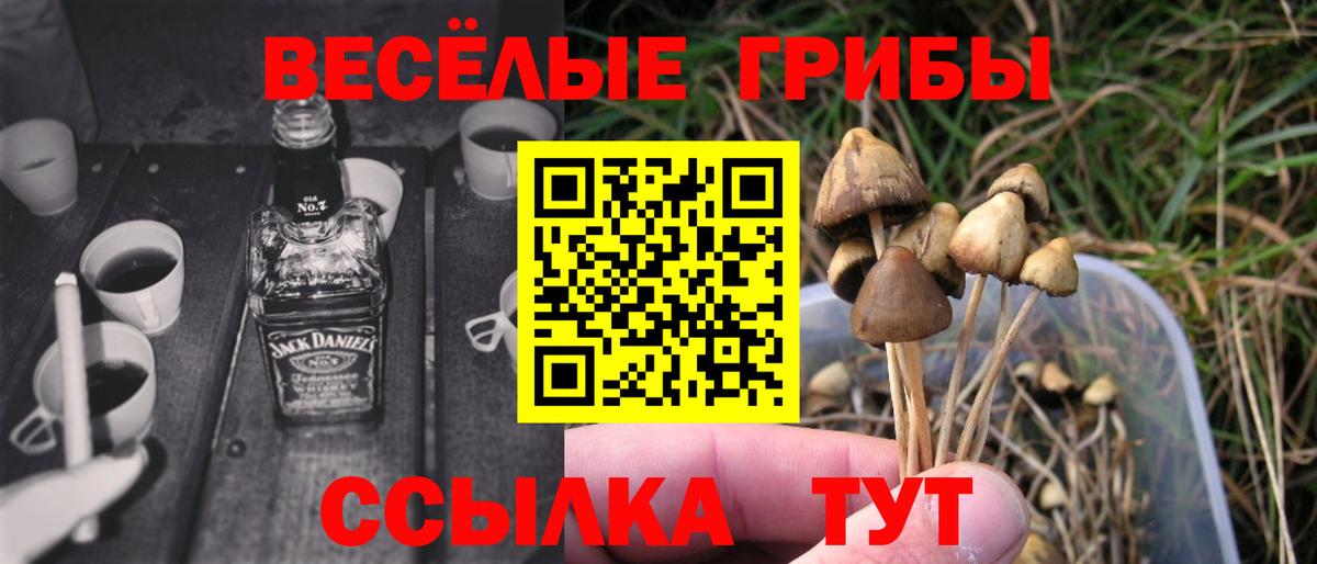дарнет шоп  Вход с VPN  Советский  Галлюциногенные грибы Cubensis 